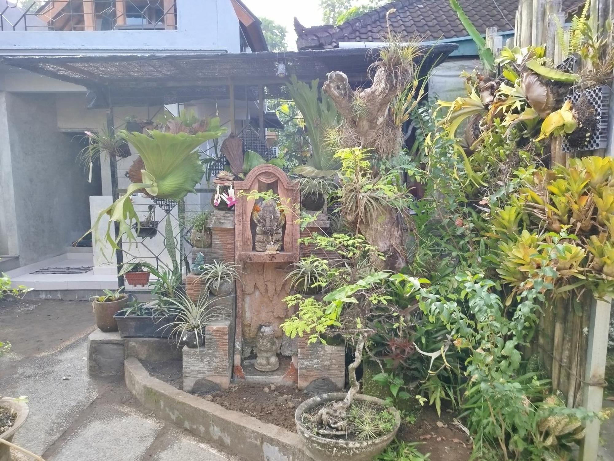 Suweta46 House Guest house