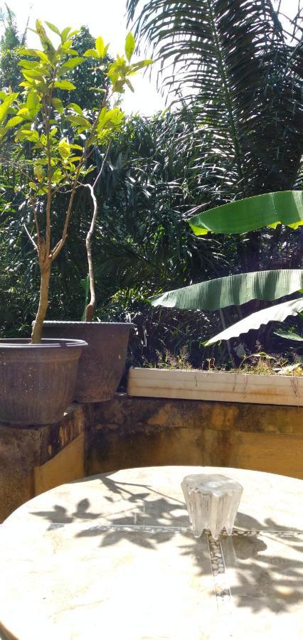 Suweta46 House Ubud (Bali)